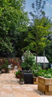 Allotments
