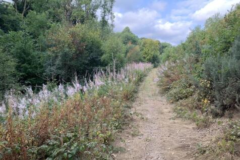 VIEWING ARRANGEMENTS