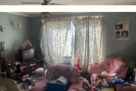 IMG 7291 T202610141628.jpeg