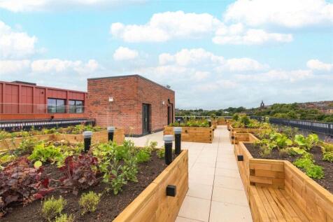 Residents Rooftop