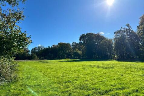 Photo 08-10-2025, 14 29 15.jpg