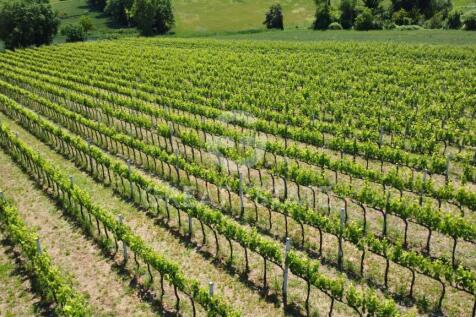 Panorama e Particolari