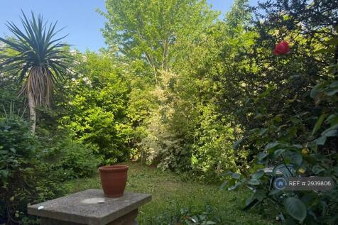 Shared Garden
