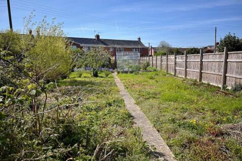 view across plot