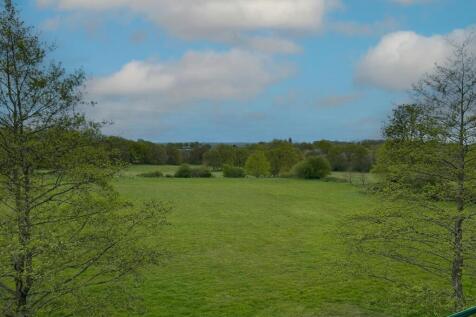 IMG_1894 copy.jpg