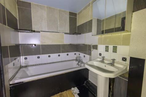 IMG 6926 T202610091752.jpg