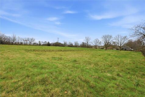 Field