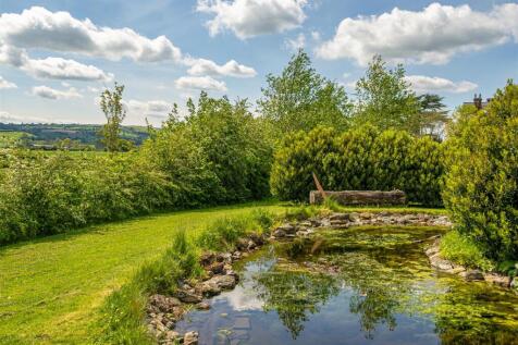 a.jpg