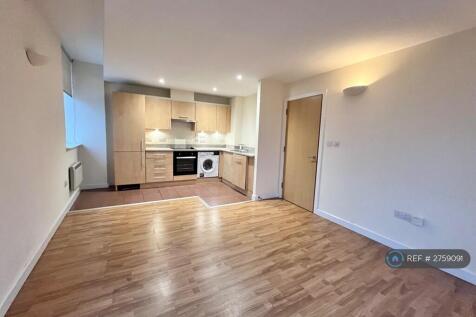 Living / Kitchen Area