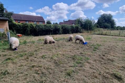 Property Image 35