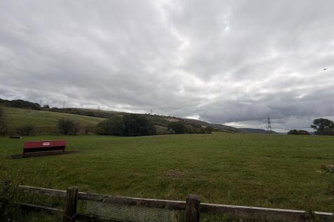 Glyn Mill Cottages, Mountain Hare photo 4