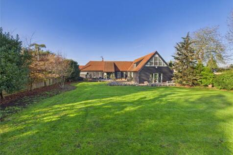 Picture No. 19