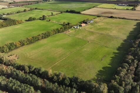 Pine Meadows Walesby 101024 (13).JPG