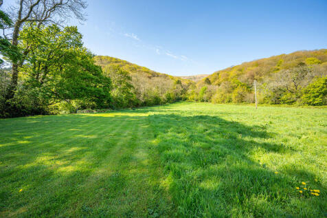 Field/Pasture Land 