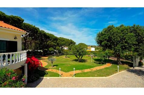 Sequence 01.00_02_33_21.Still034