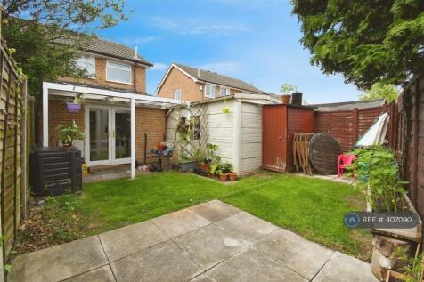 Back Garden In Summer