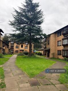 Communal Garden