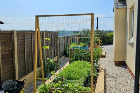 Nomansland - Seddons