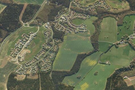 birds eye 2.JPG