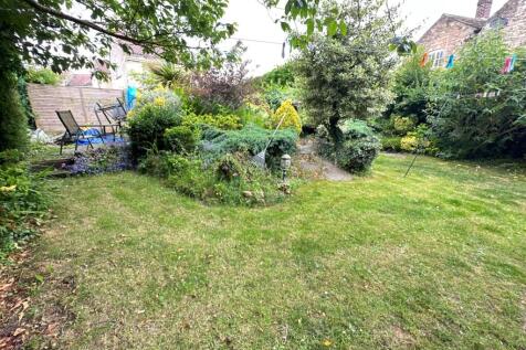 back garden