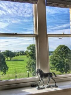 View from the lounge