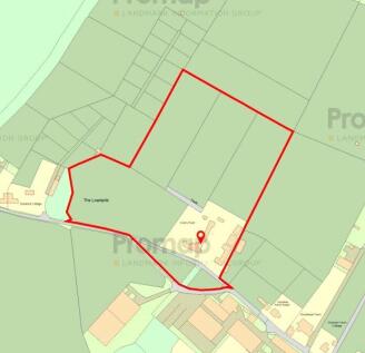 Promap Of Plot