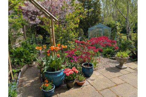 Property Image 31