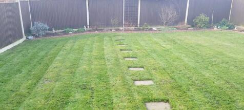 Rear garden _resized