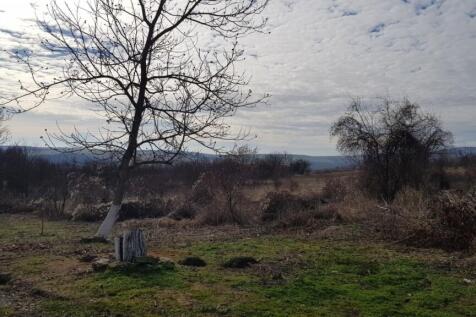 A large open piece of rural land featuring scattered leafless trees and patches of green grass under a cloudy sky.
