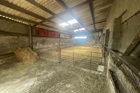 ADDITIONAL PHOTOGRAPH