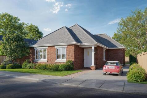 forest-road-bungalow.jpg
