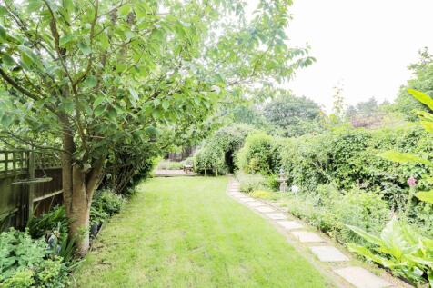 Back garden