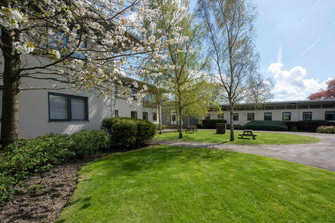 Tranquil Environment