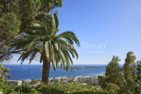 A scenic view of a coastal city with a palm tree i