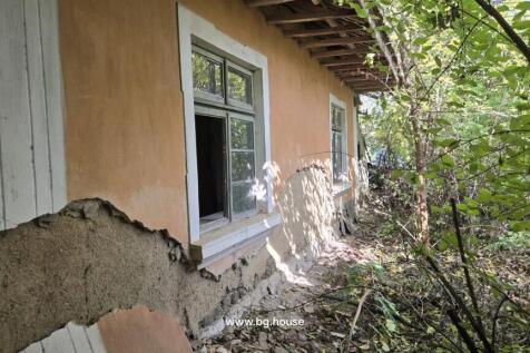 View of the house exterior showing damaged plaster and green-framed windows with surrounding trees and bushes.