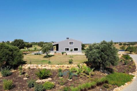 garden with automatic irrigation