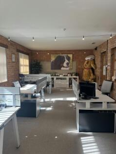 Office 8 Portrait.jpg