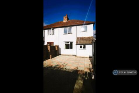 Back Garden 