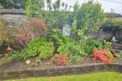 Shrubs.jpg