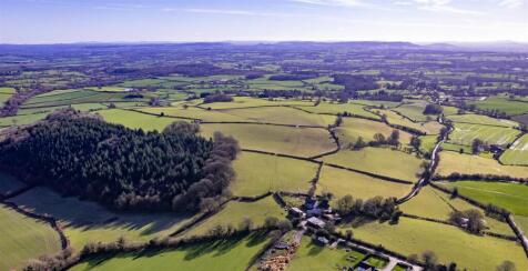 DJI_0894.jpg