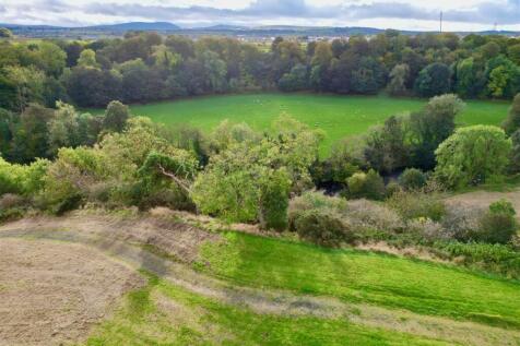 dji_fly_20231012_123448_211_1697316023295_photo.jp