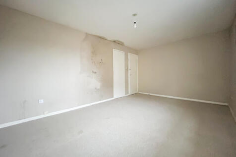 IMG 7539 T202512240923.jpg