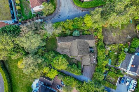 DJI_0833.jpg