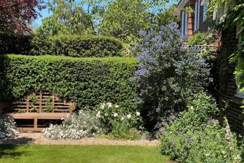 Summer Garden