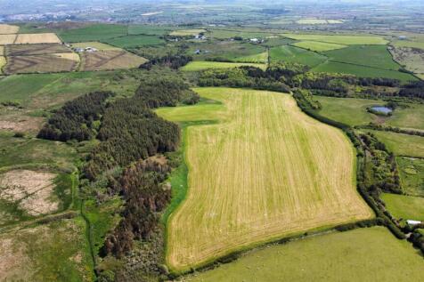 dji_fly_20250508_140340_258_1746709441937_photo_op