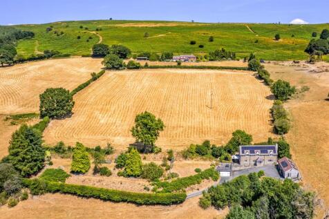 DJI_0697.jpg