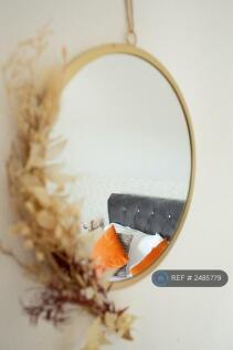 Mesh Accommodation Well-Proportioned