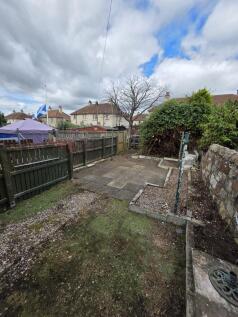 Back Garden