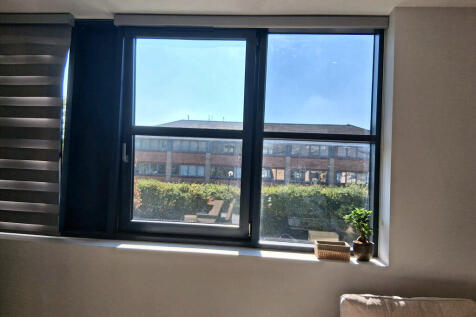 Living Room Window