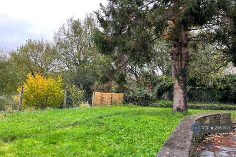 Large Shared Garden